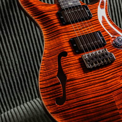 PRS Custom 24 Semi-Hollow Wood Library 10-Top image 6