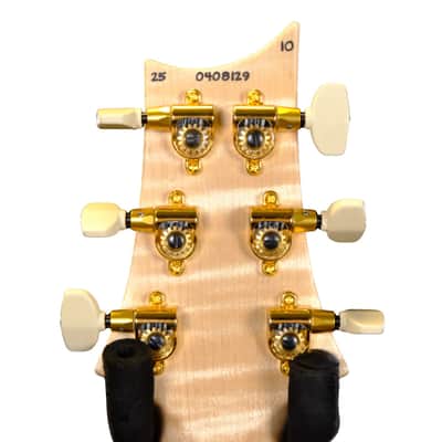 PRS Wood Library Custom 24 10-Top Flame - Burnt Maple Leaf image 6