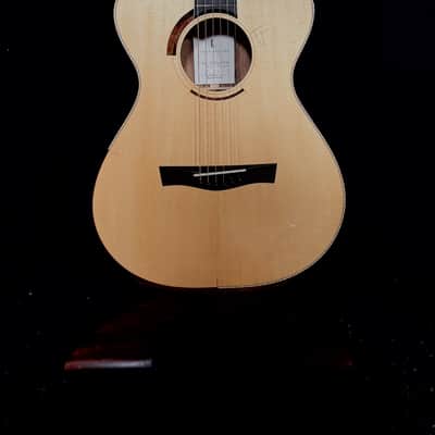Taran DS5 2019 - Macassar Ebony/Mastergrade Swiss Moon Spruce image 2