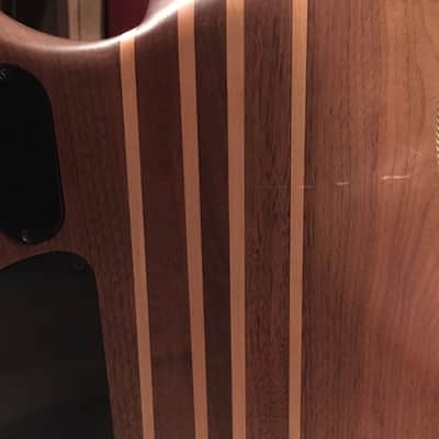 Peavey Cirrus 4 Fretless w/ OHSC image 13