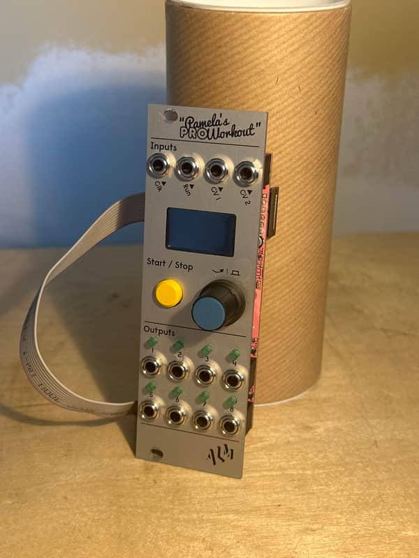 ALM/Busy Circuits ALM034 Pamela's Pro Workout Clocking Modulator Eurorack Synth Module 2022 - Present - Silver image 1