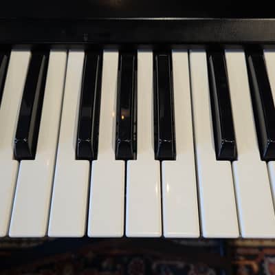 Vintage 1983 Roland Juno-60 61-Key Polyphonic Synthesizer - RECENTLY SERVICED!! image 6