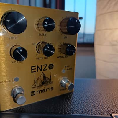 Meris Enzo 2018 - Gold image 1