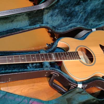 Washburn EA-2000 1999 - Natural image 6