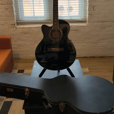 IBANEZ AEG10 (AEG10E, AEG10II) acoustic guitars for sale in USA
