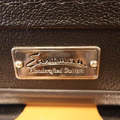 Eastman SB Model Hardcase image 3