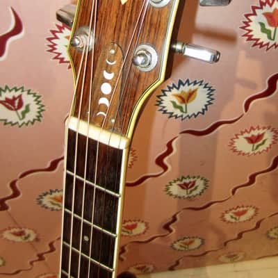 Ibanez Ragtime Special R-400 - Acoustic 1980 - with gig bag | Reverb