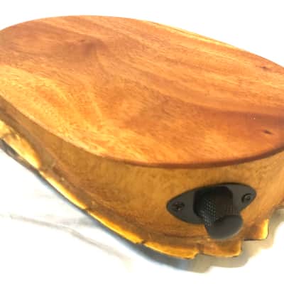 Electric turtle shell space drum image 3