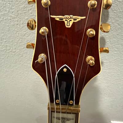 2009 Gretsch G6120DSW Chet Atkins Hollow Body with DynaSonic Pickups w/ OHSC image 9