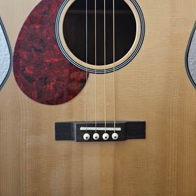 Gold Tone TG-18 Tenor 2010s - Left Handed image 2