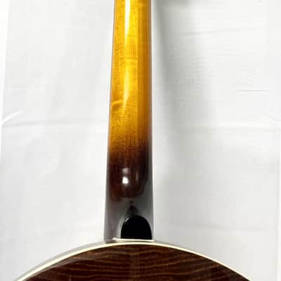 Washburn B18 5 String Resonator 1983 - Clear Gloss image 20