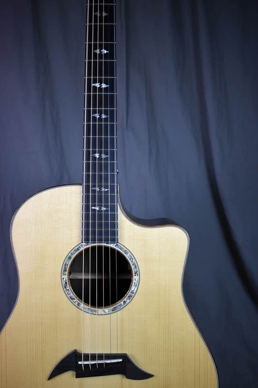 2010 Breedlove Special Edition Focus D image 1