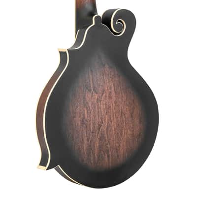 Gold Tone F-6 F-Style 6-String Guitar Mandolin - Open Box image 7