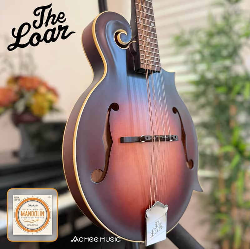 The Loar LM-310F Honey Creek F-Style Mandolin Brownburst + FREE D'addario EJ Strings image 1