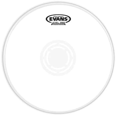 Evans 14" Heavyweight Coated
