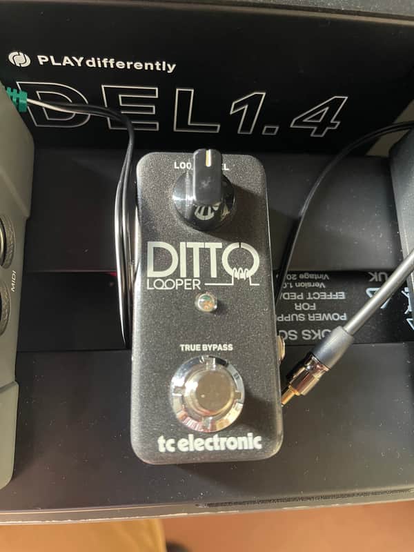 TC Electronic Ditto Looper