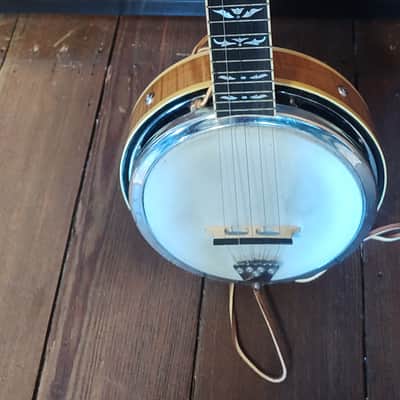 2006 Walker Mini Banjo w/ Custom Case image 6