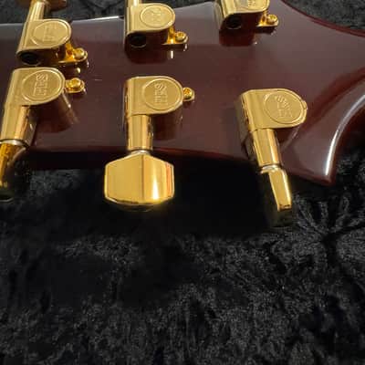 PRS Artist Package Single Cut Trem 20th Anniversary BRF 2006 - Tortoise Shell image 6