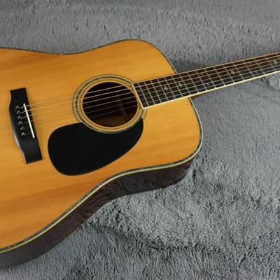 TF Morris W-50 - Natural Japan Acoustic image 4