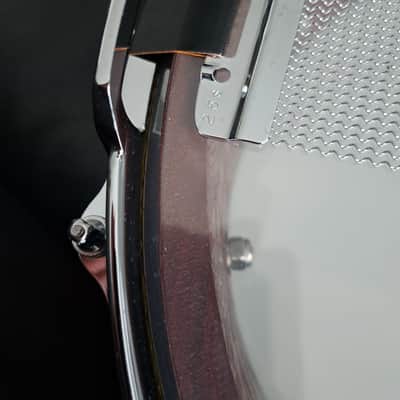 SPIRIT Solid Shell Snare Drum Handcrafted In Australia Hollowed From Tree Log Like Canopus Zelkova ! image 9