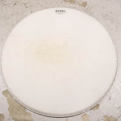 Tama Imperialstar 18" Ambassador Coated Drum Head image 1