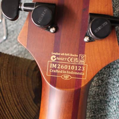 Schecter C-1 Exotic Ebony Electric Guitar Natural Satin image 11