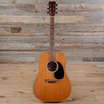 Martin D-19 1976 - 1988