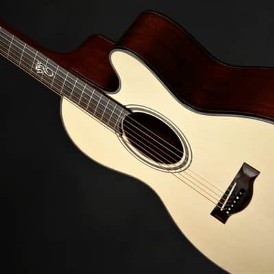 ON HOLD - Santa Cruz FS (Fingerstyle) MC Custom image 16