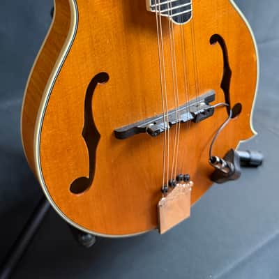 Epiphone MM-50E Professional F-Style Mandolin Blonde Natural w/ LR Baggs Pickup image 5