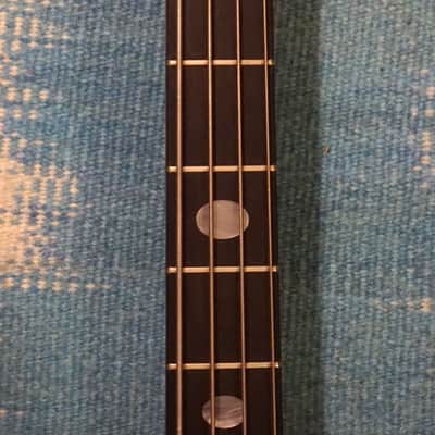 Alembic Distillate Bass 1983 Birdseye Maple and Mahogany Bild 12