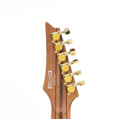 Ibanez	RGT1220PB Premium Electric guitar With gigbag 3359gr image 14