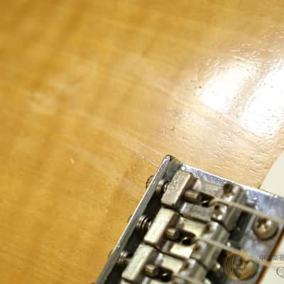 Fernandes Fst 60 Nat image 10