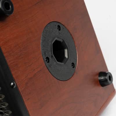 Joyo BSK-80 Acoustic  Rechargeable Guitar Amp 80w image 4