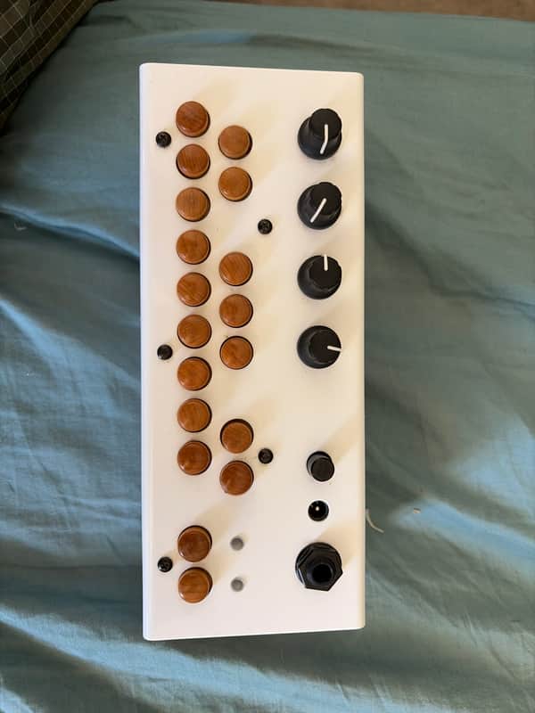 Critter & Guitari Bolsa Bass