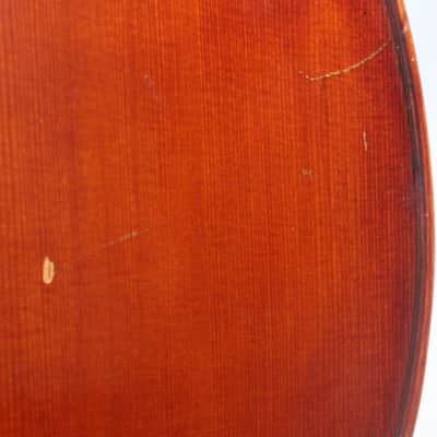 Snow SC300 Cello image 7