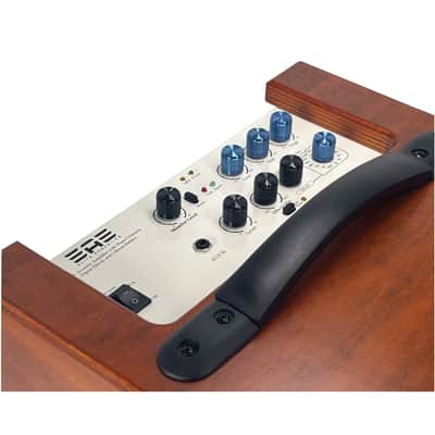 Elite Acoustics EAE A1-8 Compact Rechargeable 80 W Acoustic Amplifier with 3 Chan/LFP Battery WOOD image 2