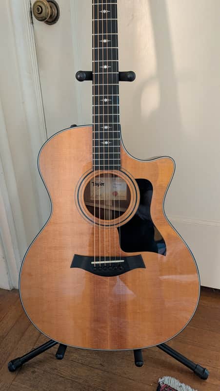 Taylor 314ce with V-Class Bracing