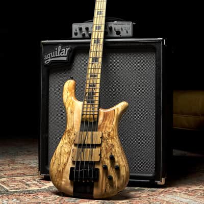 Spector USA Woodstock Custom Collection NS-5XL Rob Spalted Maple image 1