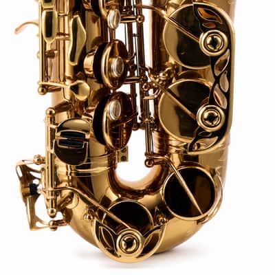 Eastman EAS850 'Rue Saint-Georges' Professional Alto Saxophone SN A2440262 image 5