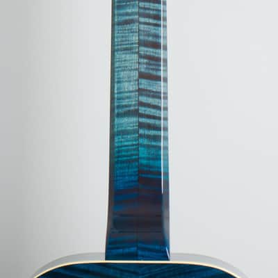 Beard E Odyssey 7-string Resophonic Guitar (2017), ser. #110207, original black tolex hard shell case. image 9