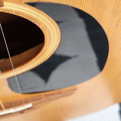 Takamine AN10 All Solid Acoustic Guitar - Made In Japan - OHSC image 18