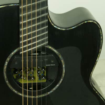 Leviora Guitars Carbon Fibre A1LF6 - Don Alder Demo Guitar 2017 Black image 8