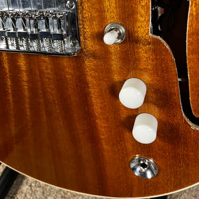 Catalyst Ember Semi-Hollow Electric Guitar - Sapele - Relic Gloss Nitro image 6