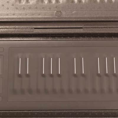 ROLI Seaboard RISE 25 2010s - Black image 1