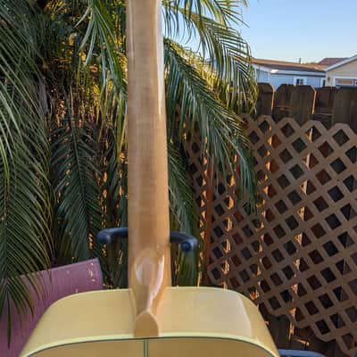Penco Acoustic Guitar A-14M Made in Japan 1980's image 11