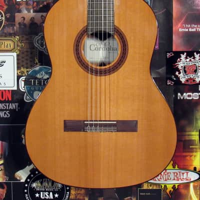 Cordoba - Dolce - Classical Acoustic 7/8 Guitar - Natural w/Gigbag image 1