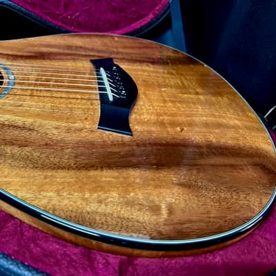 Taylor Spring Limited Edition 12-Fret Grand Concert Acoustic-Electric Guitar 2010 - Natural image 13