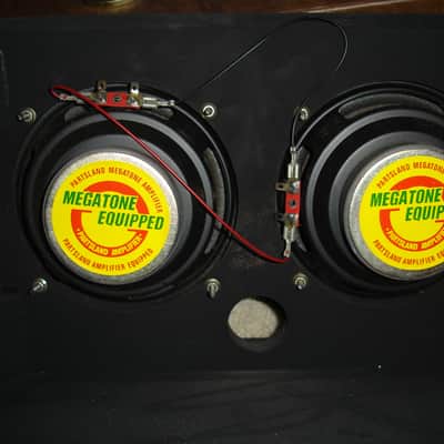Guitar Research AC30R Acoustic Guitar and Microphone combo amp image 5