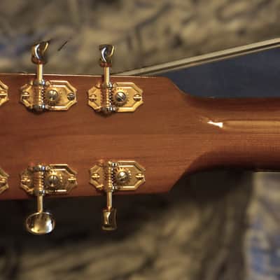 Peterson D-100 MY (2021) USA Handbuilt Boutique Acoustic Dreadnought - Fishman Matrix Infinity, OHSC image 4