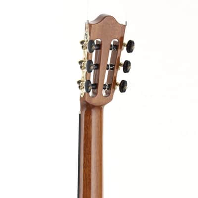 Martinez Crossover Series MP-14 Maple [SN MY10790697] (04/22) image 5